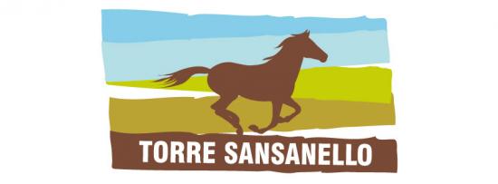 Torre Sansanello