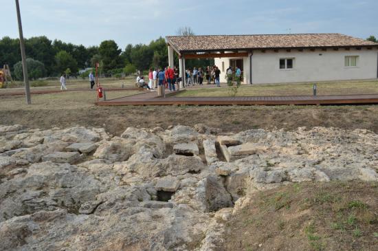 Parco Archeologico di Collepasso