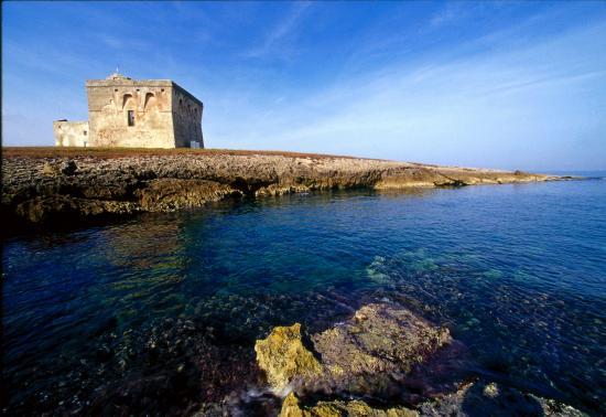 Riserva naturale di Torre Guaceto