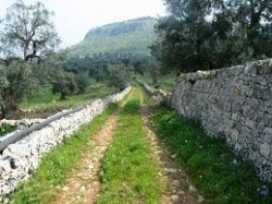 Parco Archeologico di Santa Maria d'Agnano