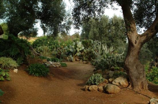 Giardino Botanico Lama degli Ulivi