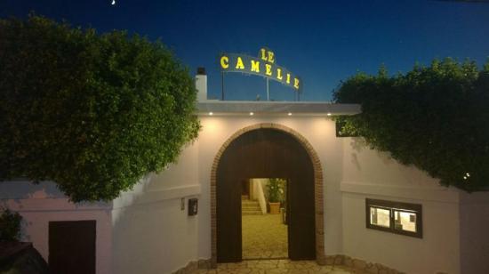 Ristorante le Camelie