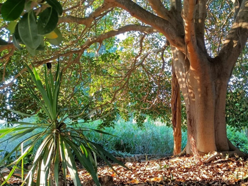 Viaggio nel mondo in giardino