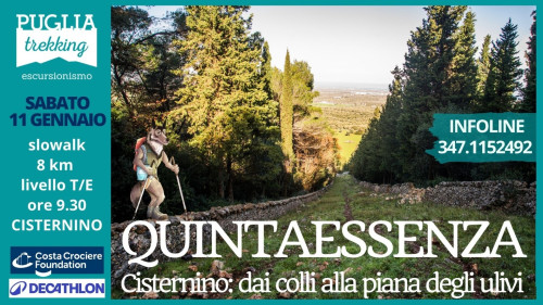 QUINTAESSENZA Cisternino dai colli alla Piana degli ulivi