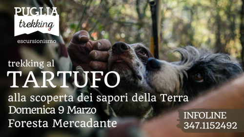 TREKKING AL TARTUFO Alla scoperta dei sapori della terra