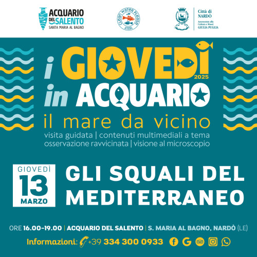 Gli squali del Mediterraneo, visita guidata