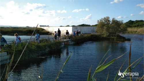 Dagli olivi al mare, nel Parco delle Dune Costiere