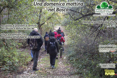 Una domenica mattina nel Bosco