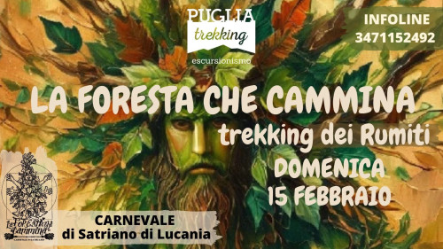 LA FORESTA CHE CAMMINA Trekking dei Rumiti - Carnevale