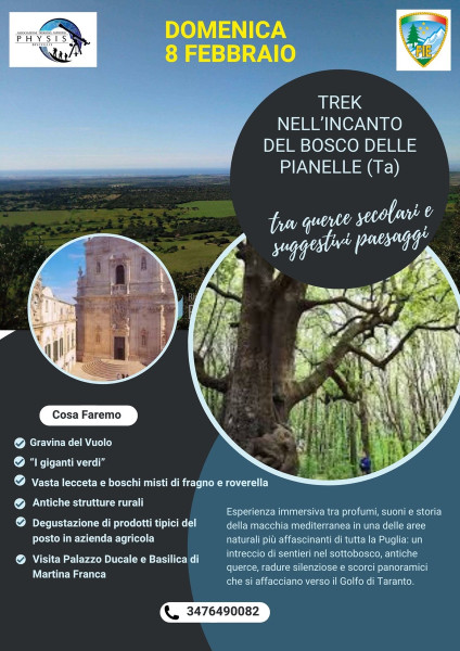 Trek nell'incanto del Bosco delle Pianelle (Ta)