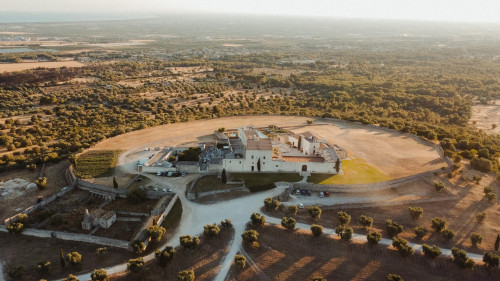 Pranzo della Domenica