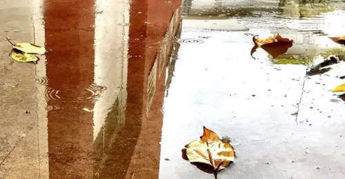 "LA POZZANGHERA VANITOSA",  regia RAFFAELE ROMITA