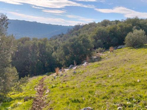 Il Trekking di Monte San Nicola