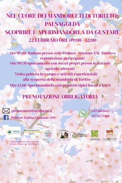 Escursione tra i mandorli in fiore  Toritto