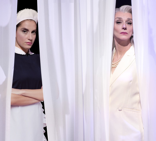 Venere Nemica - Drusilla Foer