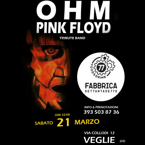 OHM PINK FLOYD Live Pub