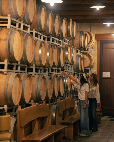 Wine & Art Experience