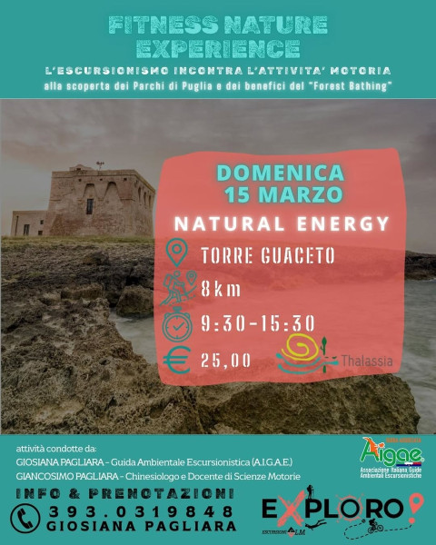 NATURAL ENERGY-TORRE GUACETO