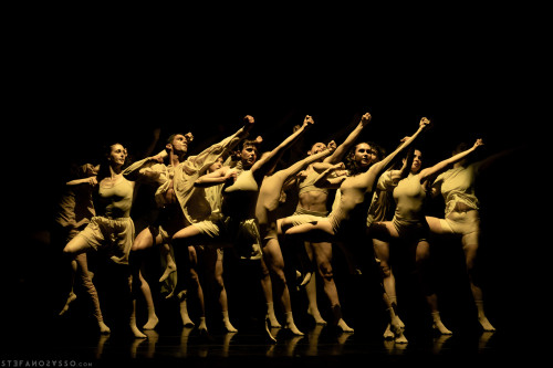 Kaleidoscopio_comunità (Equilibrio Dinamico Ensemble)