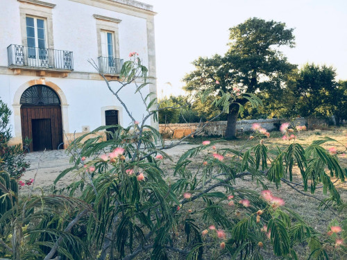 Pasquetta in Masseria:divertimento,balli popolari,buon cibo.