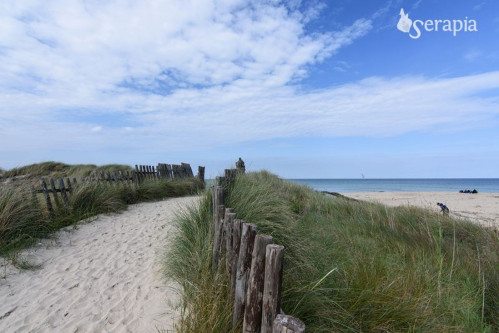 Dagli olivi al mare, nel Parco delle Dune Costiere