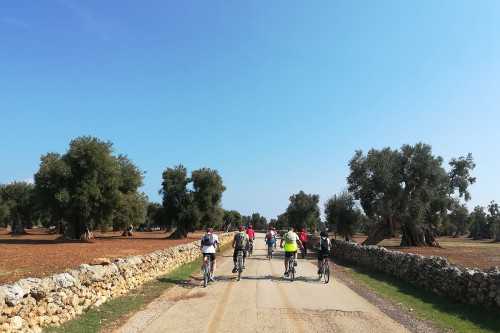 AperiBike a Savelletri, tra gli olivi ed il mare di Egnazia