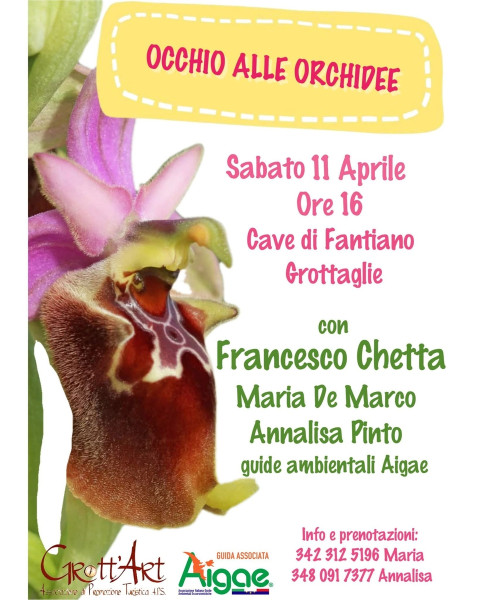 Occhio allecOrchidee