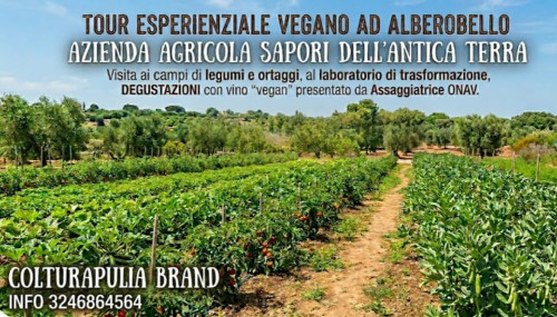 Tour Esperienziale vegano tra campi di legumi e ortaggi