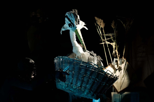 "Àrdea. Memorie da un fiume" al Serra la poesia della Natura