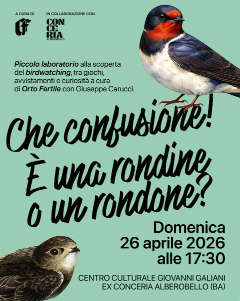Mini lab "Che confusione! E' una rondine o un rondone?" - alla scoperta del birdwatching, tra giochi, avvistamenti e curiosità - Alberobello