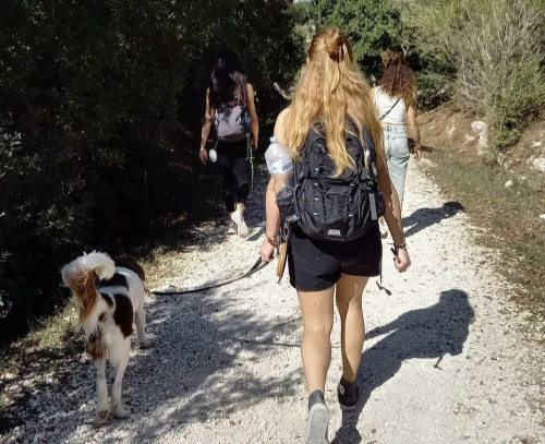 Singles walk in nature