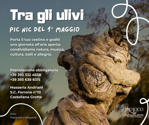 Pic Nic tra Ulivi Secolari, Giochi di Gruppo, Balli e Musica