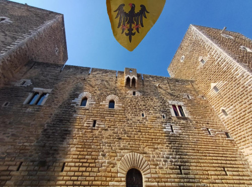 Visite Guidate per #Domenica al Museo - Castello