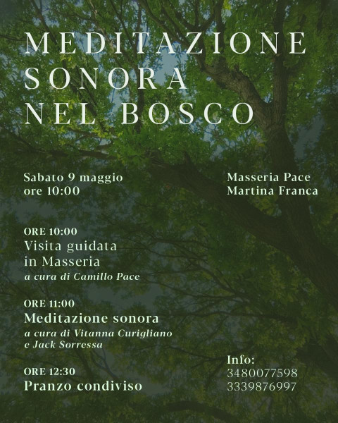 Meditazione sonora nel bosco