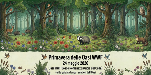Primavera delle oasi WWF-oasi wwf bosco Romanazzi