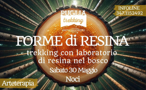 FORME DI RESINA Trekking con laboratorio di resina nel bosco