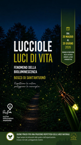 Bosco delle Lucciole