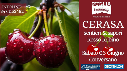 CERASA sentieri & sapori Rosso Rubino