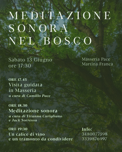 Meditazione sonora nel Bosco