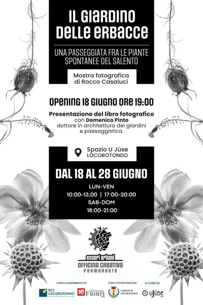 Il giardino delle erbacce | Mostra fotografica di Rocco Casaluci