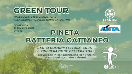 Passeggiata nella Pineta della Batteria Cattaneo