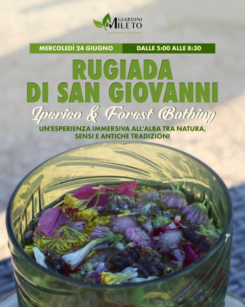 Rugiada di San Giovanni