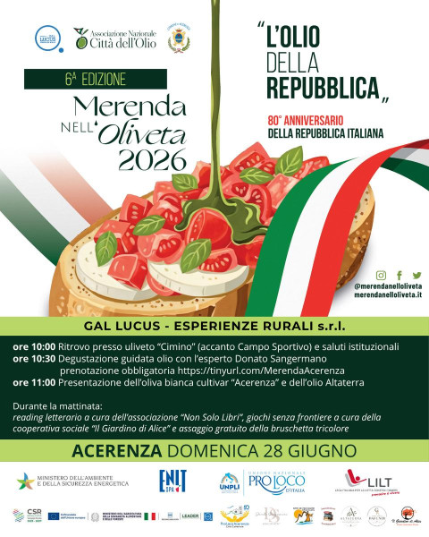 Merenda nell'oliveta