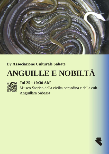 Anguille e Nobiltà