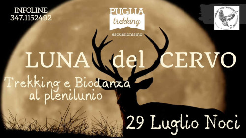 LUNA DEL CERVO Trekking & Biodanza al plenilunio